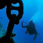 Octopus Divers